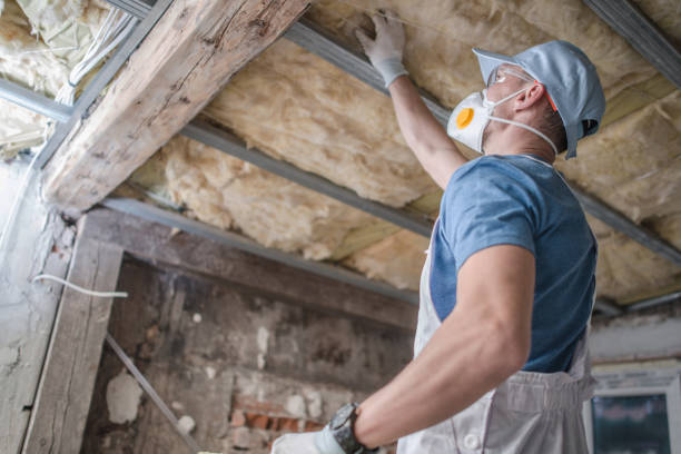 Best Spray Foam Insulation  in Wiggins, CO