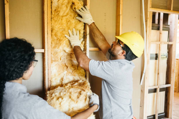 Best Insulation Replacement Services  in Wiggins, CO