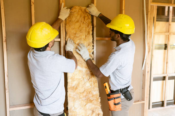 Best Commercial Insulation Contractor  in Wiggins, CO