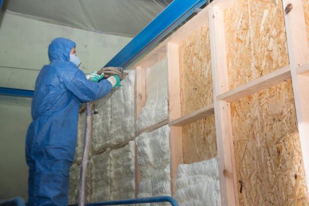 Best Energy-efficient Insulation  in Wiggins, CO