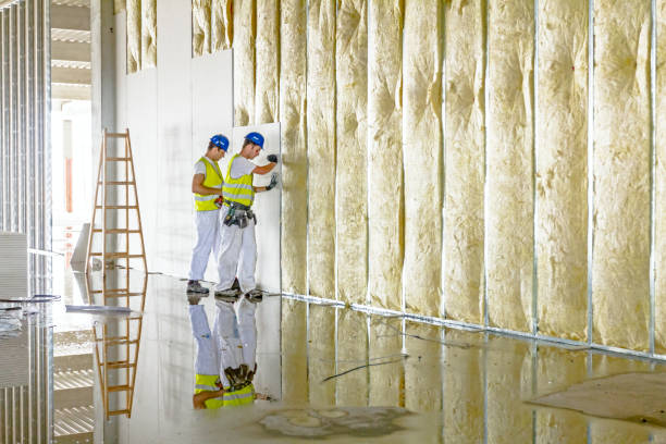 Best Crawl Space Insulation  in Wiggins, CO